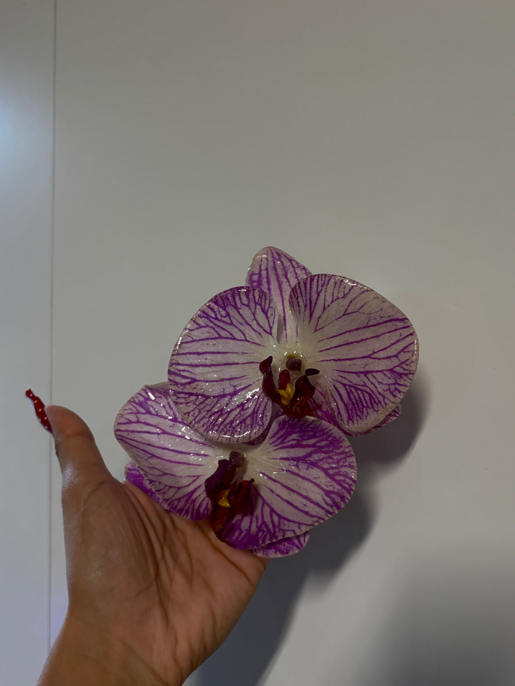 NÁ’I customs