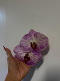 NÁ’I customs